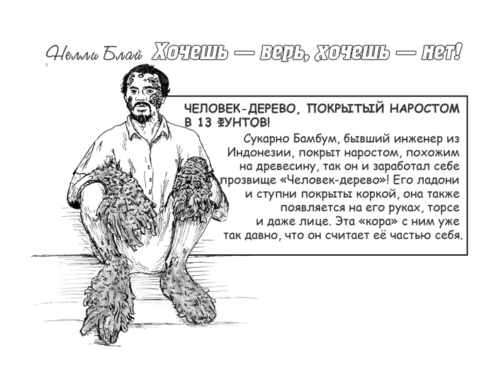 Иллюстрация к книге — Когда деревья молчат [i_002.jpg]