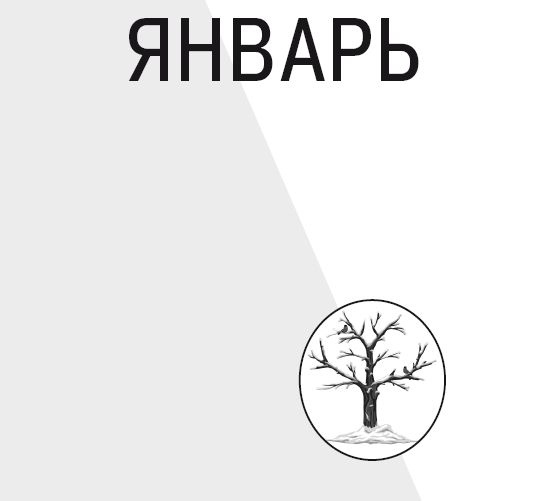 Иллюстрация к книге — Научные открытия для тех, кто любит краткость [i_001.jpg]