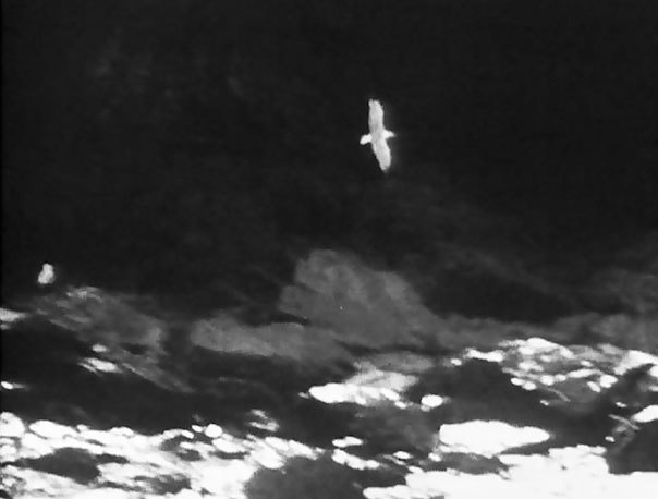 Иллюстрация к книге — Дерек Джармен [i_018.jpg]