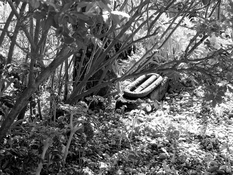 Иллюстрация к книге — Дерек Джармен [i_024.jpg]