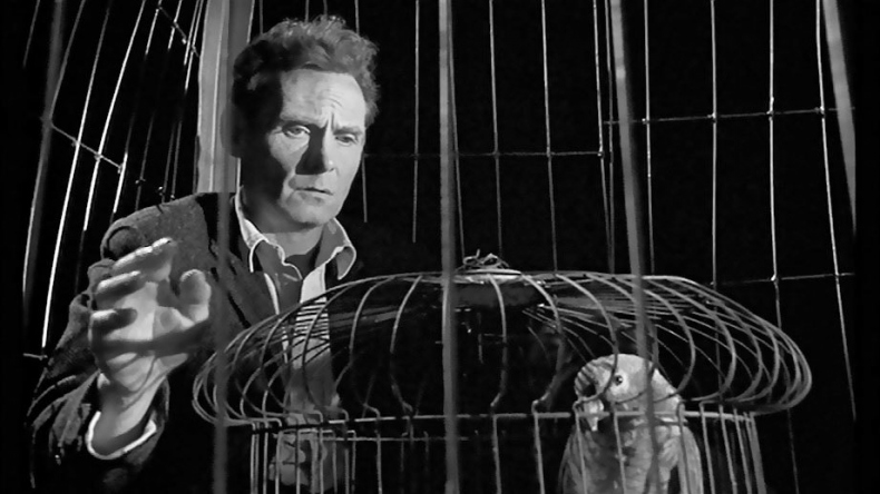 Иллюстрация к книге — Дерек Джармен [i_031.jpg]