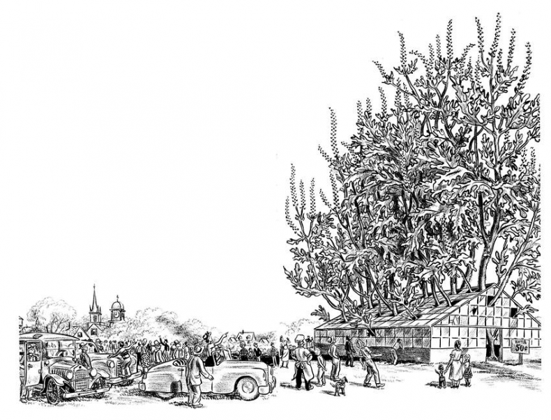 Иллюстрация к книге — Новые приключения Гомера Прайса. Сентербергские истории [i_027.jpg]