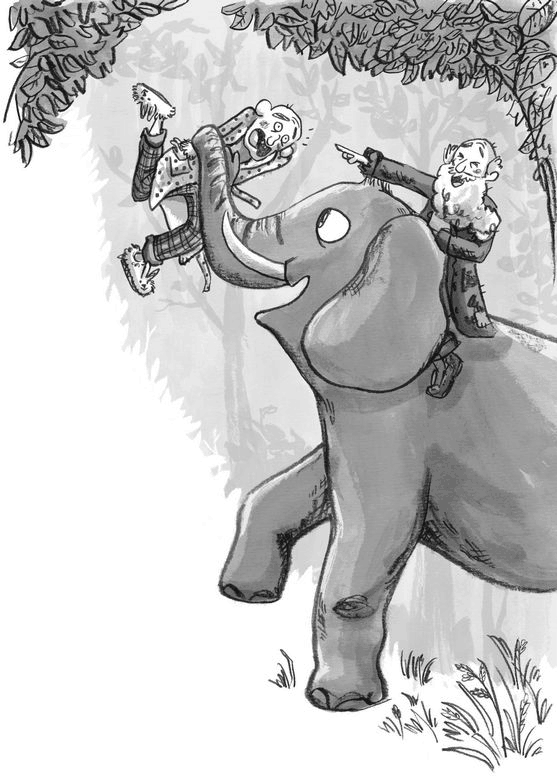 Иллюстрация к книге — Секретный сад [i_011.jpg]