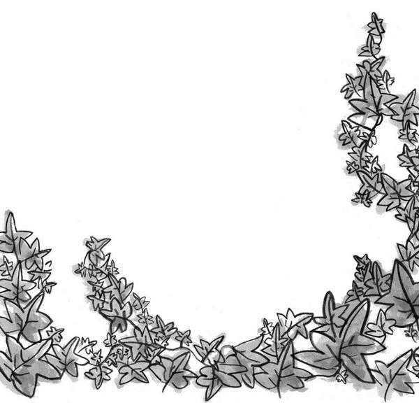 Иллюстрация к книге — Секретный сад [i_015.jpg]