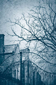 Иллюстрация к книге — Возвращение в Приют [i_039.jpg]