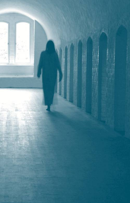 Иллюстрация к книге — Побег из приюта [i_031.jpg]