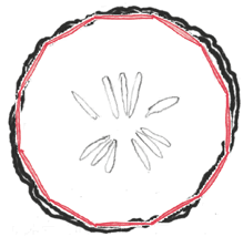 Иллюстрация к книге — Время переменных. Математический анализ в безумном мире [i_230.jpg]