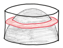 Иллюстрация к книге — Время переменных. Математический анализ в безумном мире [i_335.jpg]