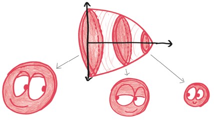 Иллюстрация к книге — Время переменных. Математический анализ в безумном мире [i_346.jpg]