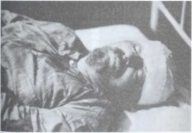 Иллюстрация к книге — Лев Троцкий. Враг №1. 1929-1940 [image29.jpg]