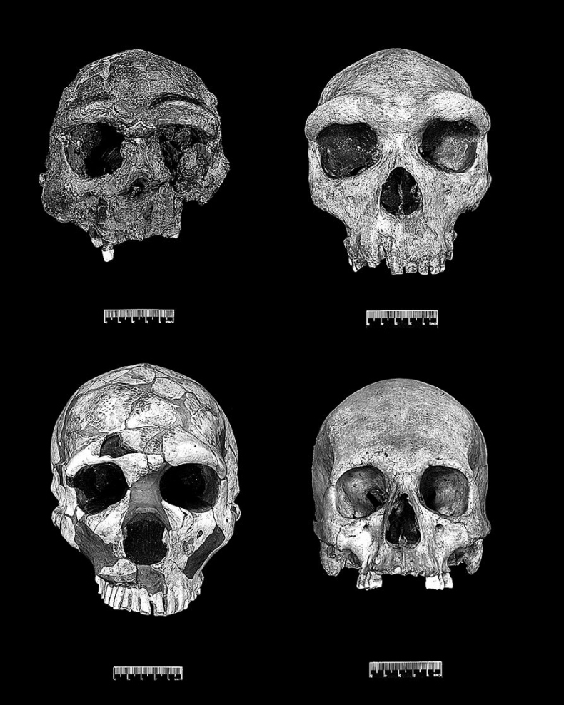 Иллюстрация к книге — Остались одни. Единственный вид людей на земле [i_009.jpg]