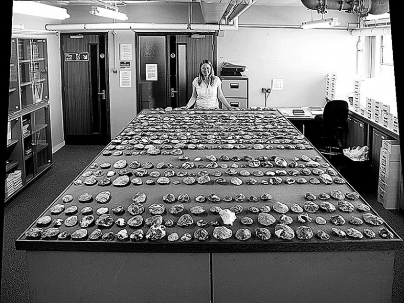 Иллюстрация к книге — Остались одни. Единственный вид людей на земле [i_012.jpg]