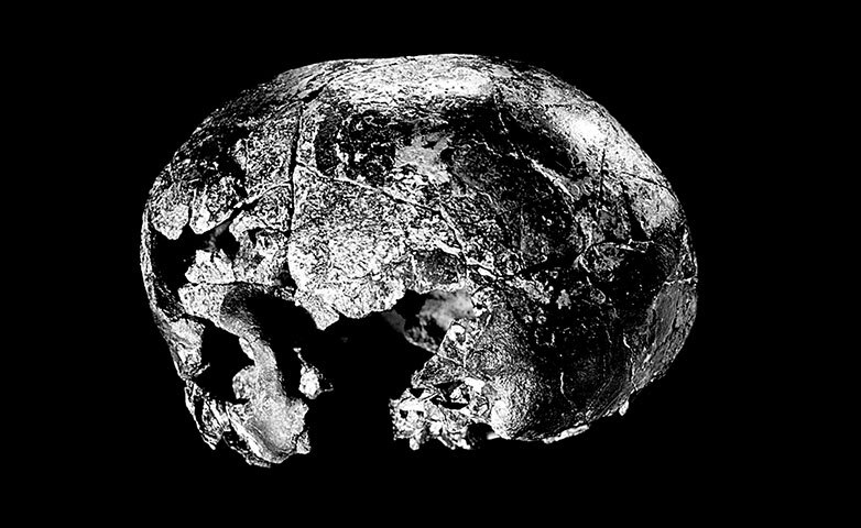 Иллюстрация к книге — Остались одни. Единственный вид людей на земле [i_020.jpg]