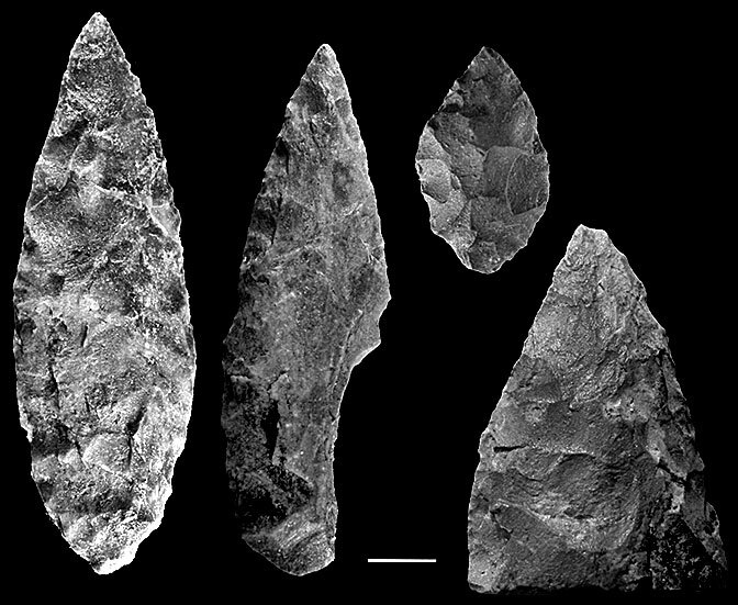 Иллюстрация к книге — Остались одни. Единственный вид людей на земле [i_026.jpg]