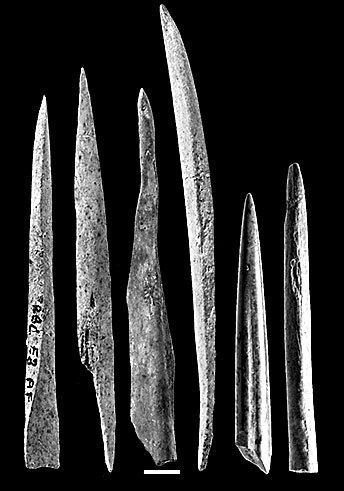 Иллюстрация к книге — Остались одни. Единственный вид людей на земле [i_028.jpg]