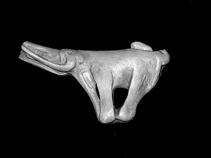 Иллюстрация к книге — Остались одни. Единственный вид людей на земле [i_030.jpg]