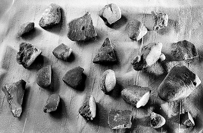 Иллюстрация к книге — Остались одни. Единственный вид людей на земле [i_031.jpg]