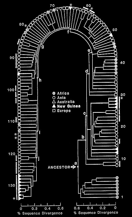 Иллюстрация к книге — Остались одни. Единственный вид людей на земле [i_032.jpg]