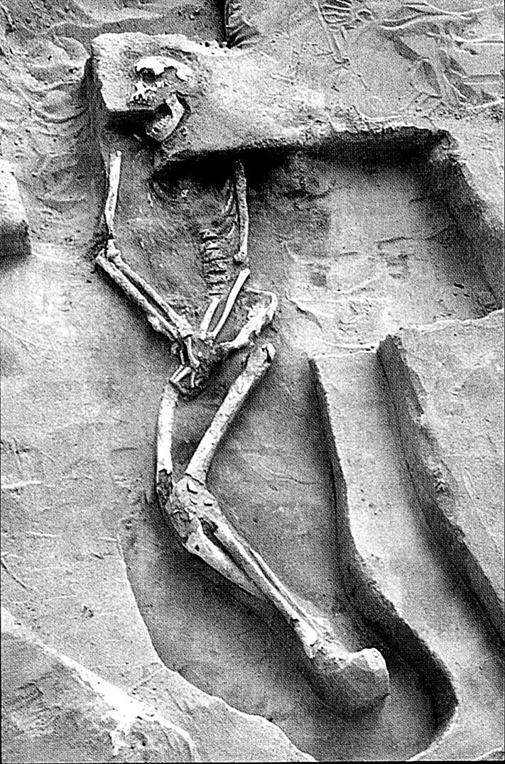 Иллюстрация к книге — Остались одни. Единственный вид людей на земле [i_039.jpg]