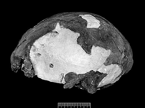 Иллюстрация к книге — Остались одни. Единственный вид людей на земле [i_042.jpg]