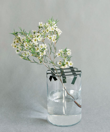 Иллюстрация к книге — Цветочная мастерская. Первая книга начинающего флориста [i_015.jpg]