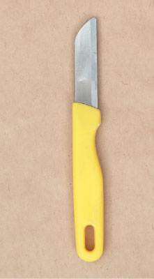 Иллюстрация к книге — Цветочная мастерская. Первая книга начинающего флориста [i_017.jpg]