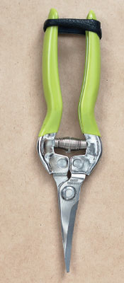 Иллюстрация к книге — Цветочная мастерская. Первая книга начинающего флориста [i_018.jpg]