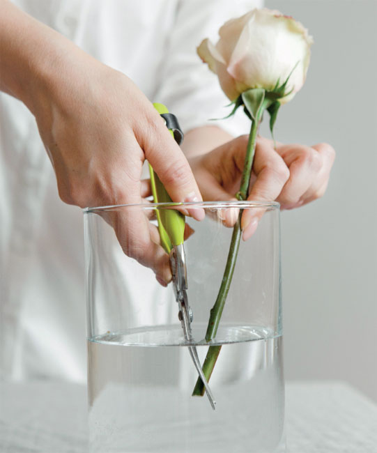 Иллюстрация к книге — Цветочная мастерская. Первая книга начинающего флориста [i_035.jpg]