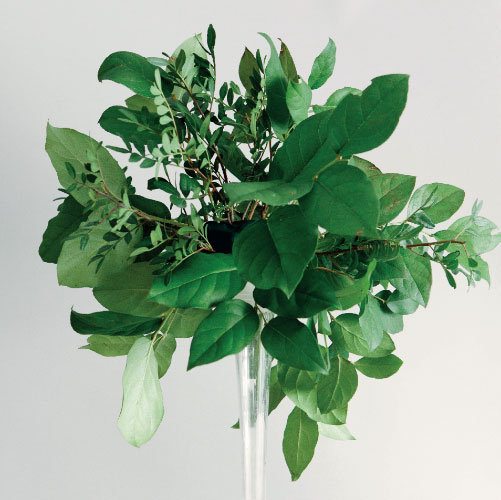 Иллюстрация к книге — Цветочная мастерская. Первая книга начинающего флориста [i_052.jpg]