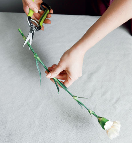 Иллюстрация к книге — Цветочная мастерская. Первая книга начинающего флориста [i_054.jpg]