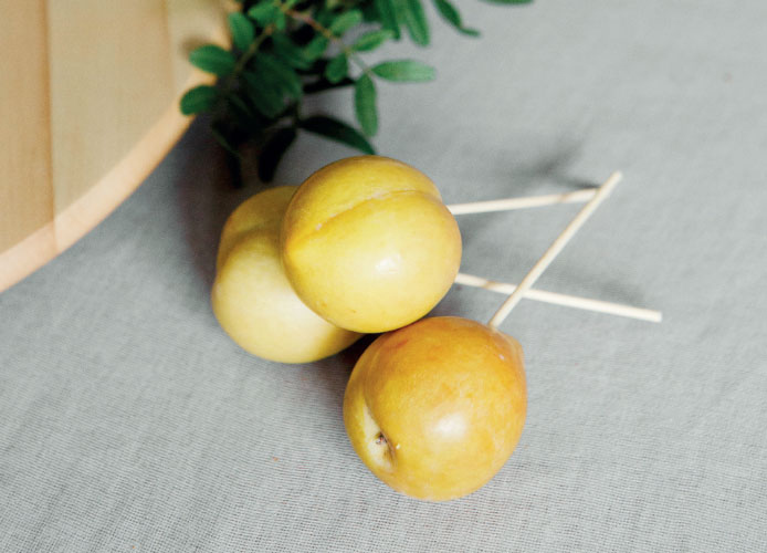 Иллюстрация к книге — Цветочная мастерская. Первая книга начинающего флориста [i_065.jpg]