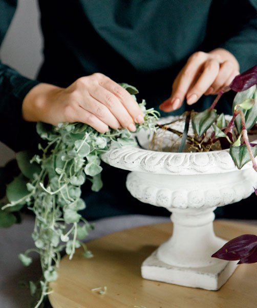 Иллюстрация к книге — Цветочная мастерская. Первая книга начинающего флориста [i_070.jpg]