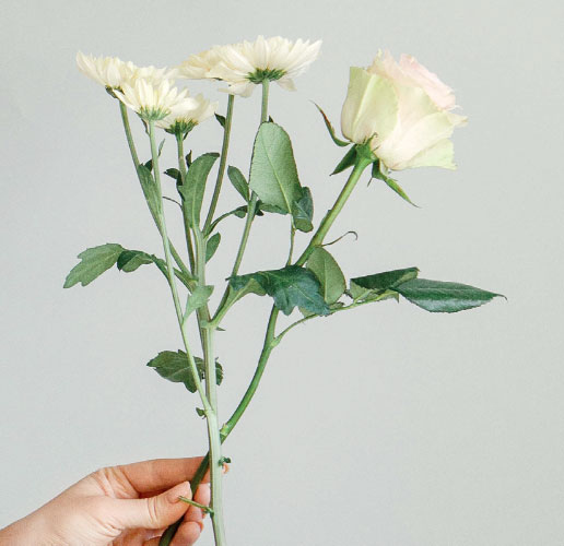 Иллюстрация к книге — Цветочная мастерская. Первая книга начинающего флориста [i_081.jpg]