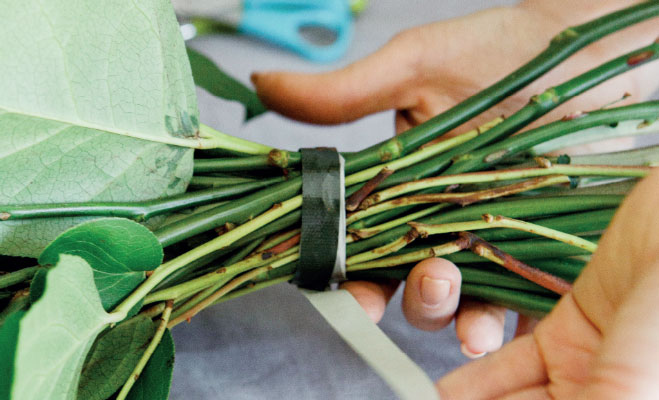 Иллюстрация к книге — Цветочная мастерская. Первая книга начинающего флориста [i_084.jpg]