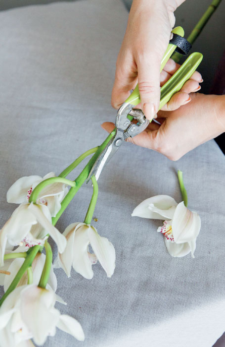 Иллюстрация к книге — Цветочная мастерская. Первая книга начинающего флориста [i_087.jpg]