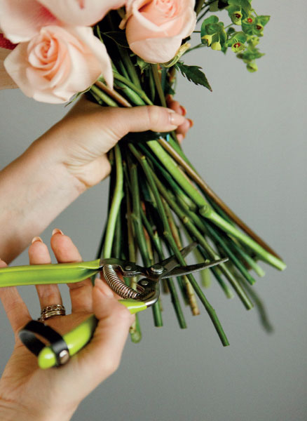 Иллюстрация к книге — Цветочная мастерская. Первая книга начинающего флориста [i_114.jpg]