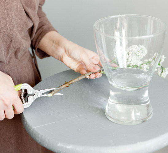 Иллюстрация к книге — Цветочная мастерская. Первая книга начинающего флориста [i_116.jpg]