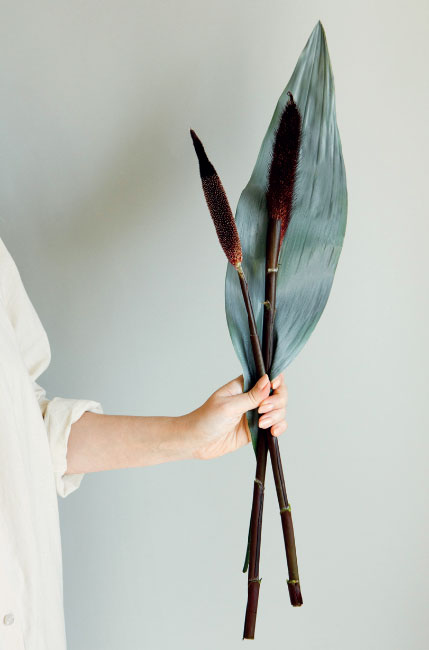 Иллюстрация к книге — Цветочная мастерская. Первая книга начинающего флориста [i_125.jpg]