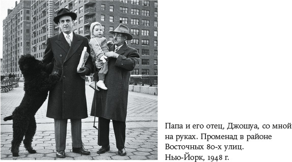 Иллюстрация к книге — В погоне за светом. О жизни и работе над фильмами «Взвод», «Полуночный экспресс», «Лицо со шрамом», «Сальвадор» [i_005.jpg]