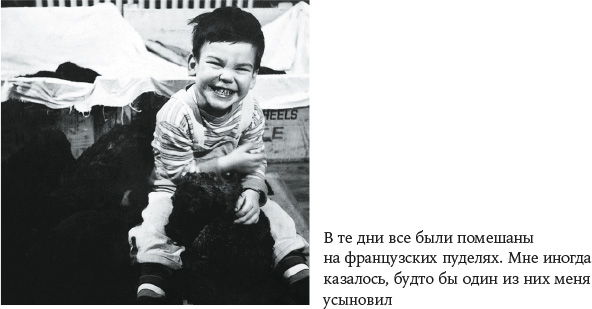 Иллюстрация к книге — В погоне за светом. О жизни и работе над фильмами «Взвод», «Полуночный экспресс», «Лицо со шрамом», «Сальвадор» [i_006.jpg]