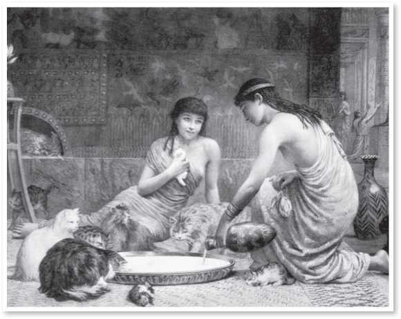 Иллюстрация к книге — Всемирная история глазами кошек [i_011.jpg]