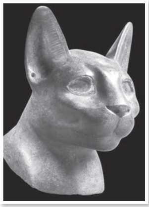 Иллюстрация к книге — Всемирная история глазами кошек [i_013.jpg]