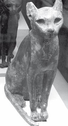 Иллюстрация к книге — Всемирная история глазами кошек [i_015.jpg]