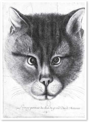 Иллюстрация к книге — Всемирная история глазами кошек [i_038.jpg]