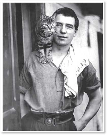 Иллюстрация к книге — Всемирная история глазами кошек [i_050.jpg]