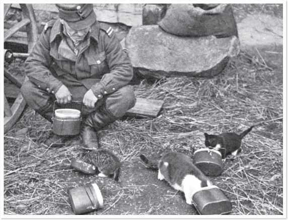 Иллюстрация к книге — Всемирная история глазами кошек [i_058.jpg]