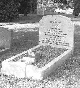 Иллюстрация к книге — Всемирная история глазами кошек [i_061.jpg]