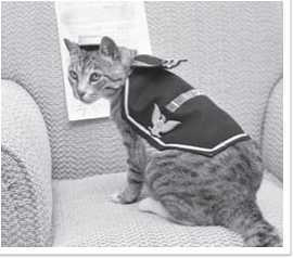 Иллюстрация к книге — Всемирная история глазами кошек [i_063.jpg]