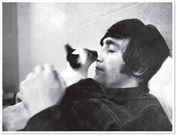 Иллюстрация к книге — Всемирная история глазами кошек [i_072.jpg]