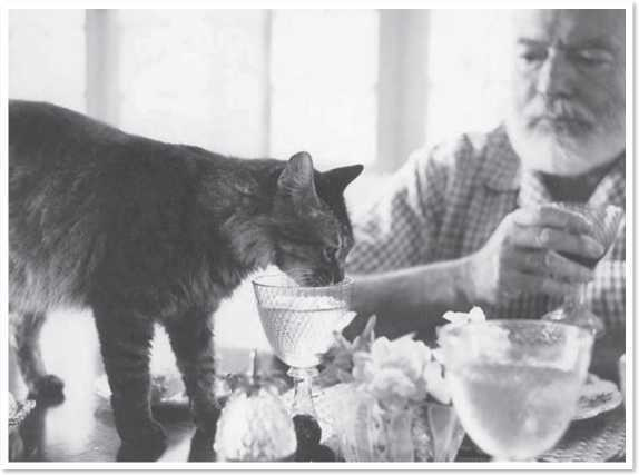 Иллюстрация к книге — Всемирная история глазами кошек [i_073.jpg]